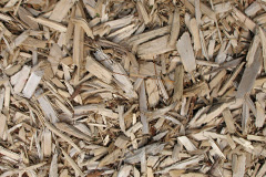 biomass boilers Chowdene